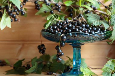 Taze Olgun siyah kuş üzümü rustik ahşap zemin üzerinde. Yeşil yaprakları, yeni berry hasat ile doğal organik çilek ile kase.