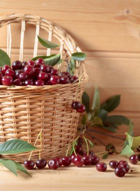 Ahşap arka plan üzerinde sepet içinde yapraklarla olgun sulu kiraz. 