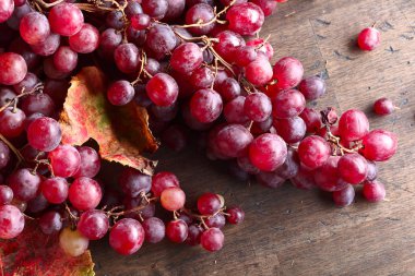 Olgun kırmızı üzüm yaprakları ile demetleri. Üstten görünüm .