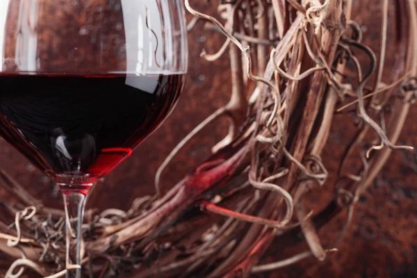 Vigne Séchée Verre Vin Rouge — Photo