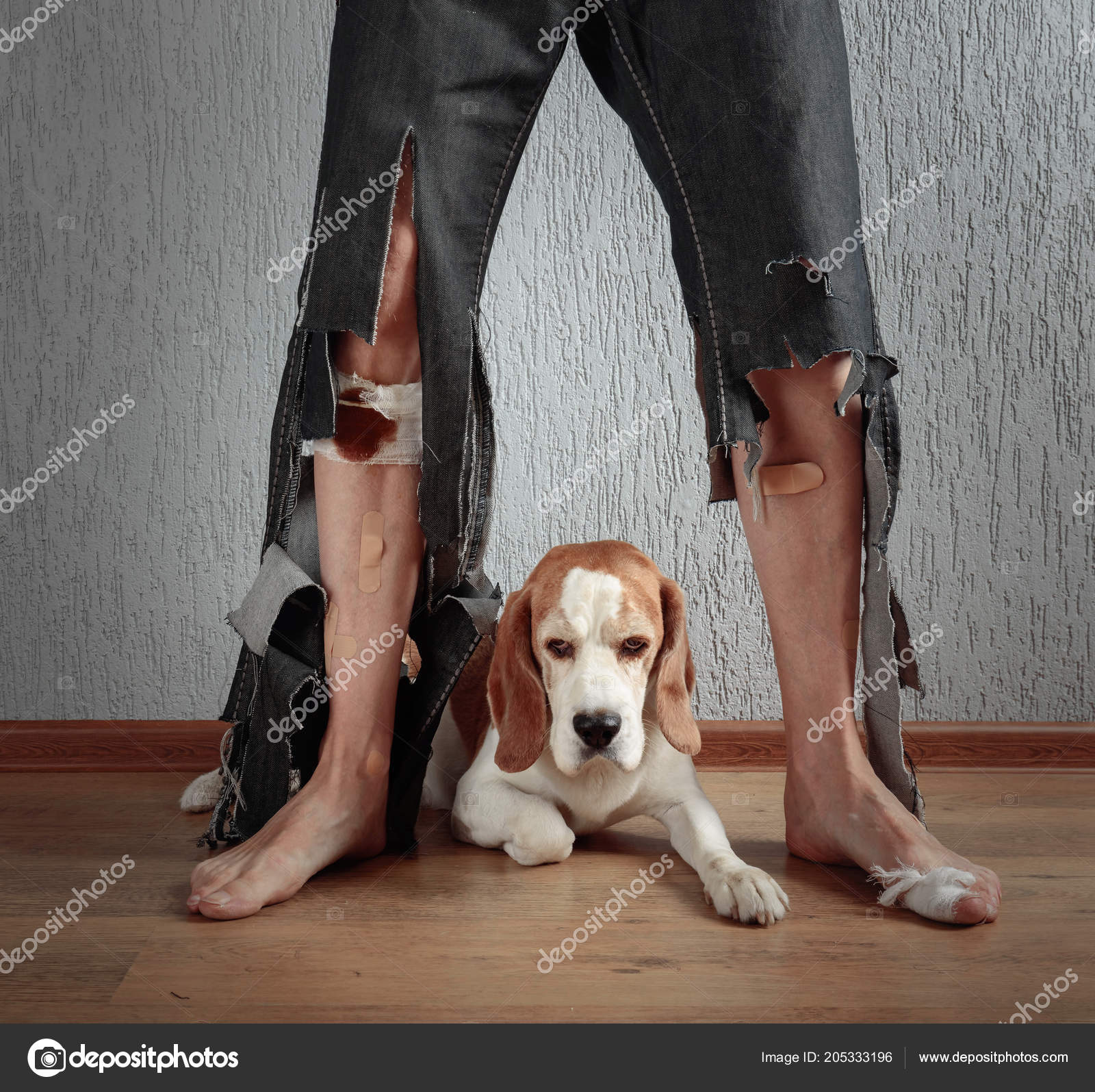 Does Assurant Cover Dog Bites