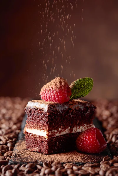 Primo Piano Torta Cioccolato Con Lampone Menta Bacino Marrone — Foto Stock