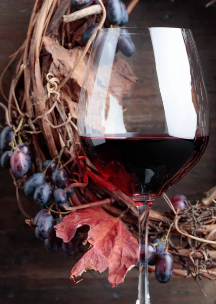 Glas Rotwein Mit Trauben Und Getrockneten Weinblättern — Stockfoto