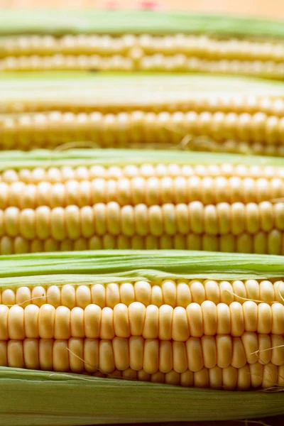 Friss Kukorica Cobs Közelkép Szelektív Összpontosít — Stock Fotó