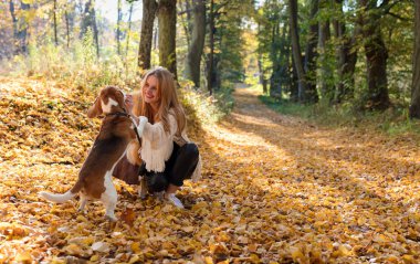 Sonbahar parkta bir beagle ile yürüyen genç güzel kadın.
