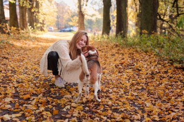 Sonbahar parkta bir beagle ile yürüyen genç güzel kadın.