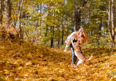 Sonbahar parkta bir beagle ile yürüyen genç güzel kadın.