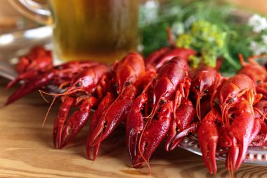 Dereotu ve soğuk bira kupa haşlanmış kerevit .