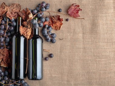 Kırmızı şarap şişeleri ve taze üzüm asma yaprağı çuval bezi, üstten görünüm üzerinde kurumuş kopyalayın, metin için yer. 