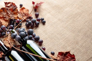 Çuval bezi, metniniz için kopya alanı üzerinde asma yaprağı kadar kırmızı şarap şişeleri ve taze üzüm ile kurutulmuş. 