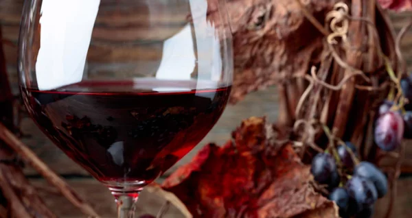 Glas Rotwein Mit Trauben Und Getrockneten Weinblättern — Stockfoto