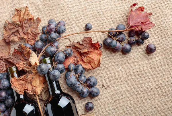 Rotweinflaschen Und Frische Trauben Mit Vertrockneten Weinblättern Auf Klette Draufsicht — Stockfoto