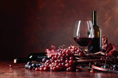 Kırmızı şarap ve taze üzüm ile kurutulmuş kadar asma yaprakları, metniniz için kopya alanı.