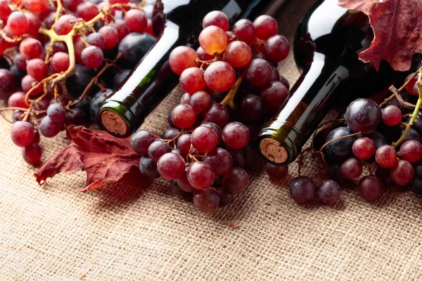 Garrafas Vinho Tinto Uvas Frescas Com Folhas Videira Secas Serapilheira — Fotografia de Stock