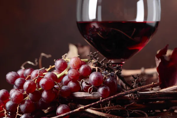 Vin Rouge Raisins Frais Avec Feuilles Vigne Séchées Espace Copie — Photo