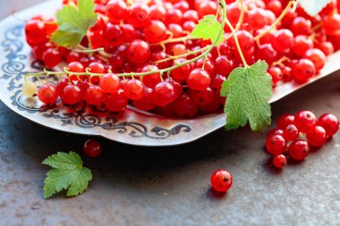 Redcurrants ile metal bir yemek üzerinde. Seçici odak.