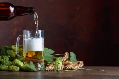 Kupa bira, tahıl ve atlama sayısının eski ahşap bir masa. Bira şişe bir kupa içine dökülür. Metin için boş alan.