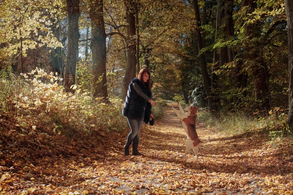 Ung Vacker Flicka Som Leker Med Hund Parken Solig Höstdag — Stockfoto