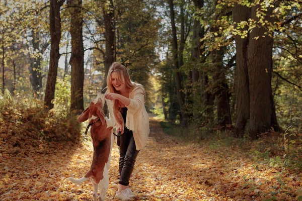 Νέοι Όμορφο Κορίτσι Παίζει Ένα Σκύλο Στο Πάρκο Ηλιόλουστη Μέρα — Φωτογραφία Αρχείου