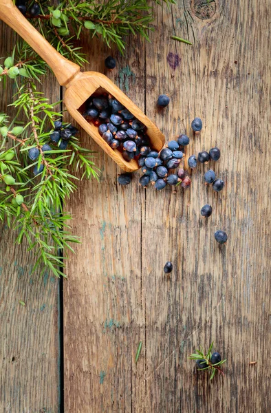 Juniper branch and wooden spoon with berries on a wooden background. Top view, copy space for your text.