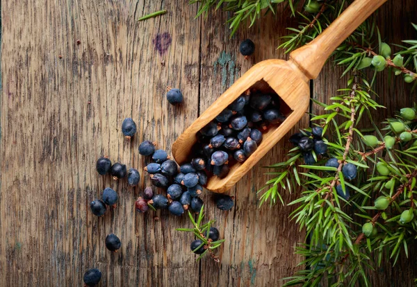 Juniper branch and wooden spoon with berries on a wooden background. Top view, copy space for your text.