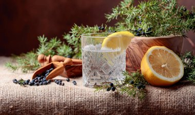 Kokteyl cin, limonlu tonik ve ardıç meyveleri ile bir dalı. Metniniz için kopya alanı.