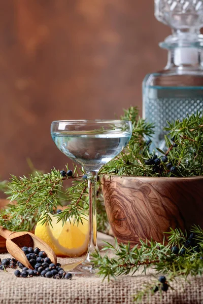 Gin Blu Limone Ramo Ginepro Con Bacche Copia Spazio Testo — Foto Stock