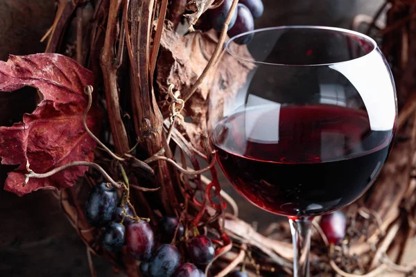 Glas Rotwein Mit Trauben Und Getrockneten Weinblättern — Stockfoto