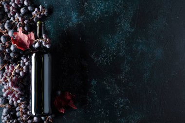Metniniz için kırmızı şarap ve üzüm, üstten görünüm, kopya alanı şişe.