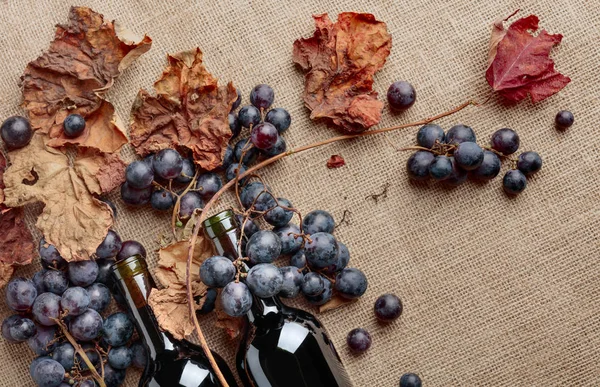 Rotweinflaschen Und Frische Trauben Mit Vertrockneten Weinblättern Auf Klette Draufsicht — Stockfoto