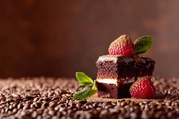 Çikolatalı Kek Ahududu Kahverengi Bacground Nane Closeup Kopya Alanı — Stok fotoğraf