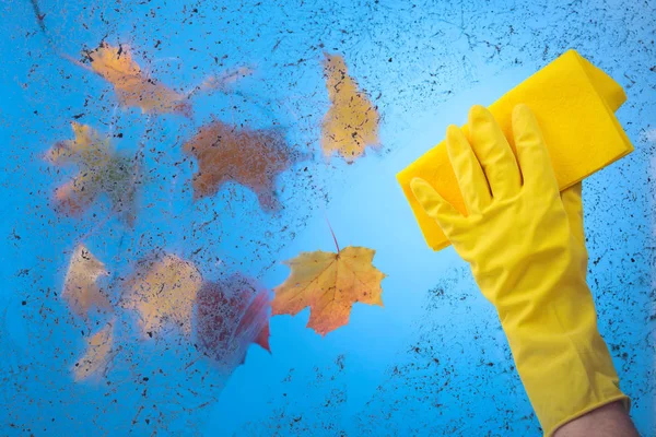 Hand Yellow Rubber Glove Napkin Blue Sky Colorful Maple Leaves — Stock Photo, Image