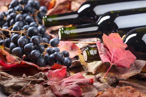 Rotweinflaschen Dunkle Trauben Und Trockene Weinblätter — Stockfoto