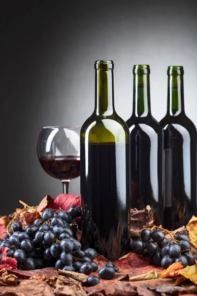Kırmızı Şarap Şişeleri Kara Üzüm Kuru Asma Yaprağı — Stok fotoğraf