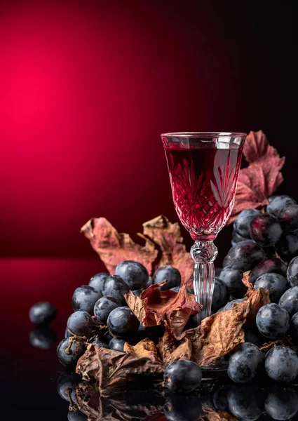 Crystal glass with red wine on dark background. Dark grapes with dried vine leaves. Selective focus, free space for your text.
