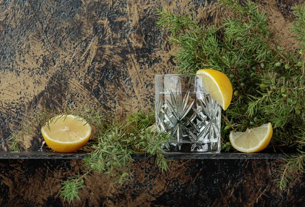 Koktejl Gin Tonic Plátky Citronu Větvička Jalovce Prostor Pro Váš — Stock fotografie