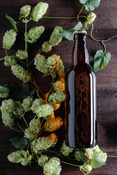 Butelki Piwem Chmielem Stare Drewniane Tła Widok Góry Ilość Wolnego — Zdjęcie stockowe