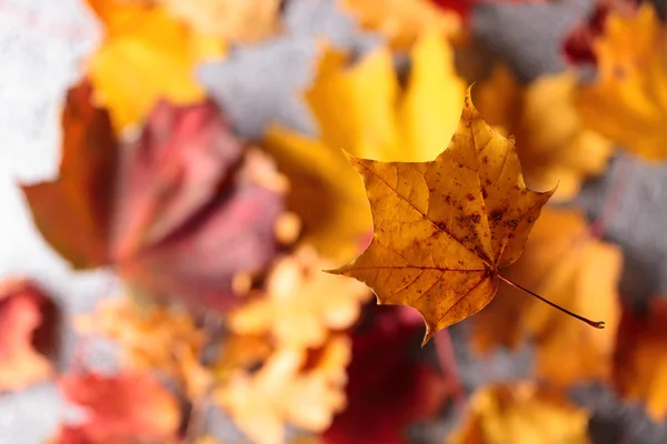 Fond Automne Avec Des Feuilles Érable Jaunes — Photo