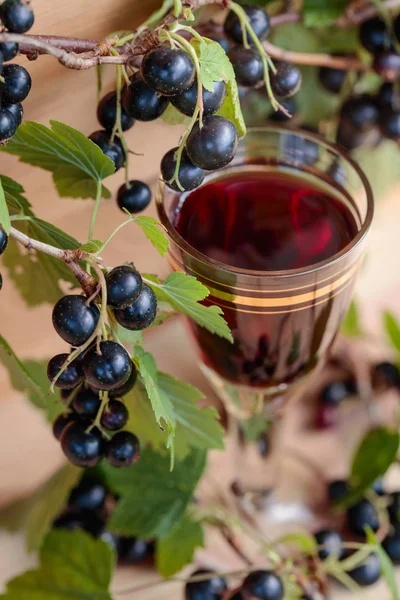 Homemade Liqueur Made Black Currants Fresh Berries Branch Vintage Wooden — Stock Photo, Image