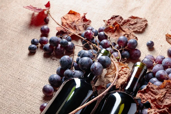 Пляшки Червоного Вина Свіжий Виноград Висушеним Листям Лози Мішковині Копіюйте — стокове фото