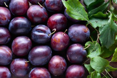 Arka plan olarak olgun sulu Erik. Üstten görünüm.