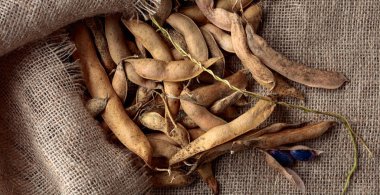 Kuru fasulye kabukları, sağlıklı organik yiyecekler. Üst görünüm, metin için boşluk kopyala.