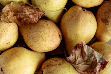 Olgun armut, sağlıklı organik gıda. Eski ahşap arka plan. Üstten görünüm, metniniz için kopya alanı.