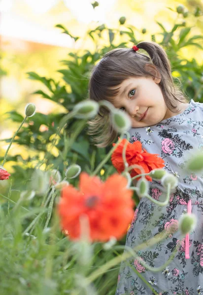 Portret Trzy Letni Małej Dziewczynki Odkryty Ogrodzie Czerwonymi Kwiatami — Zdjęcie stockowe