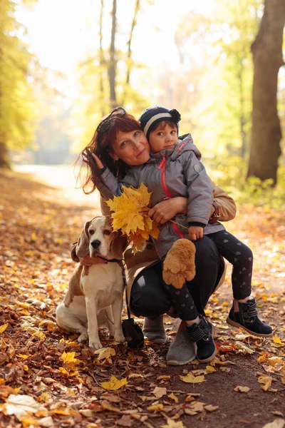 Donna Mezza Età Con Bambina Beagle Che Cammina All Aperto — Foto Stock