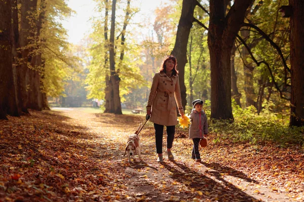 Donna Mezza Età Con Bambina Beagle Che Cammina All Aperto — Foto Stock