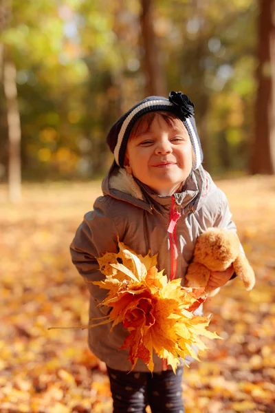 可爱的小女孩与黄色枫叶叶子户外在美丽的秋天天 快乐的小女孩玩与堕落枫叶的乐趣 — 图库照片
