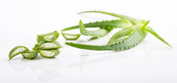 Aloe Vera Blätter Auf Weißem Hintergrund Schneiden Aloe Vera Wird — Stockfoto