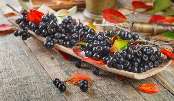 Svart Aronia Aronia Melanocarpa Trä Skål Med Höstlöv Ett Gammalt — Stockfoto