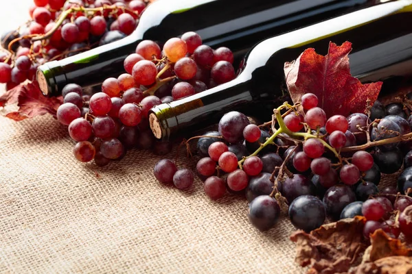 Rotweinflaschen Und Frische Trauben Mit Vertrockneten Weinblättern Auf Klette — Stockfoto